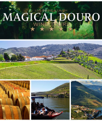 Douro Valley Ruby: Visita 2 locais com prova de Vinhos, Almoço e barco