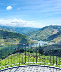 Douro Valley Tawny:  Déjeuner, Visite d'un vignoble, balada en bateau